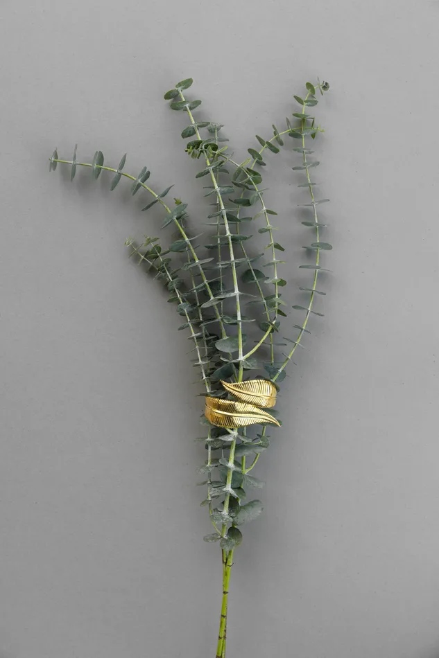 Botanicals Gentle Whisper Bracelet tohum Bracelets