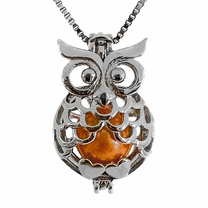 CPST022 Necklaces Cage Pendant 925 Sterling Silver Owl Heart Feet