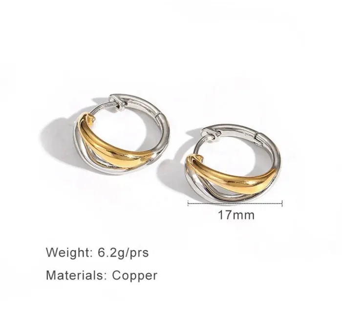Double Chunky Steel Hoop Earrings Get Signatured Earrings Double Chunky Steel Hoop Earrings Get Signatured Earrings