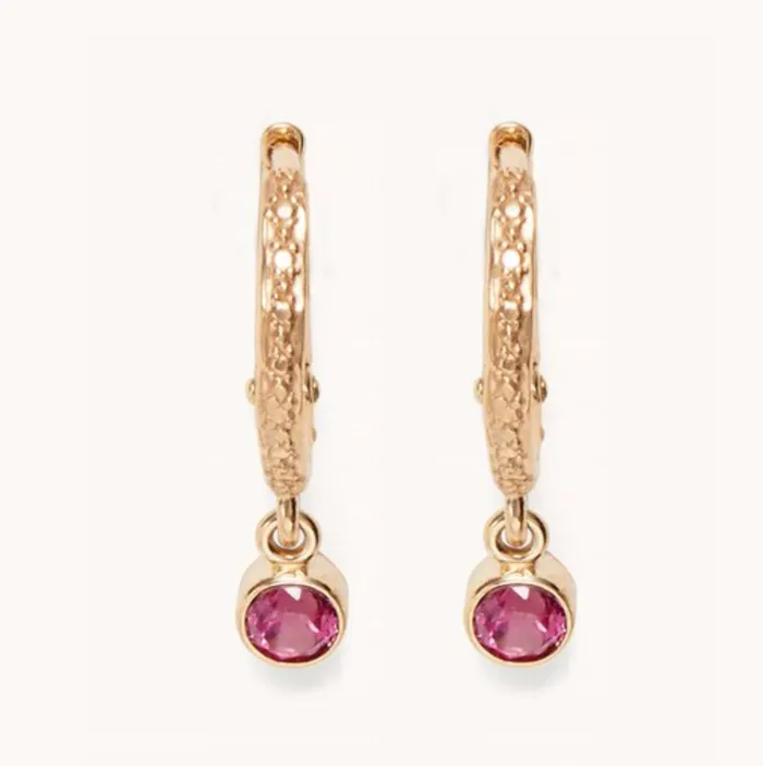 Earrings Marlo Laz micro hoop earrings