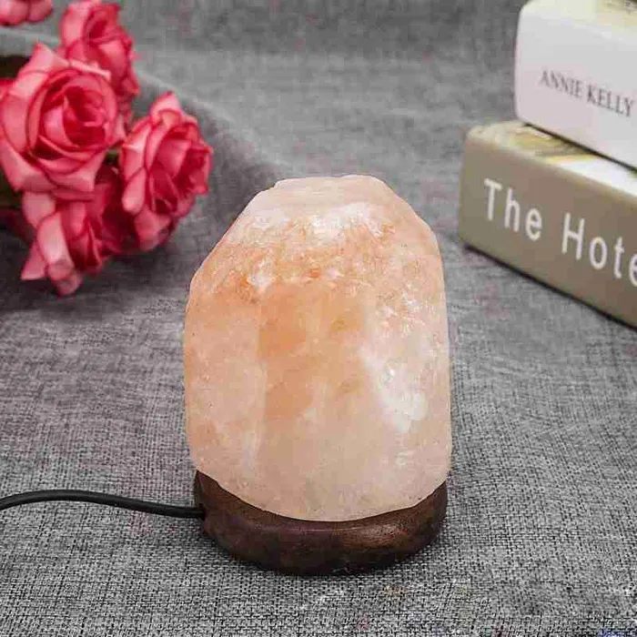 Himalayan Crystal Rock Salt Lamp with LED metamorphidi Necklaces