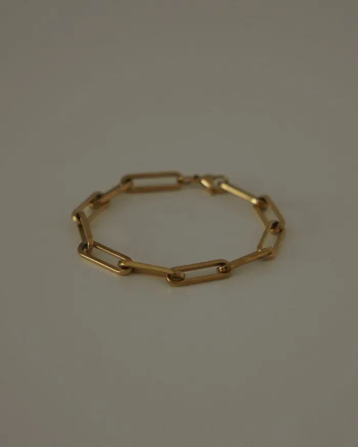 MYJN Bracelets Lita Bold Chain Link Bracelet