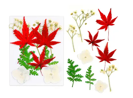 Necklaces RESIN ART HUB Dried Flowers with Leaf for Resin Art