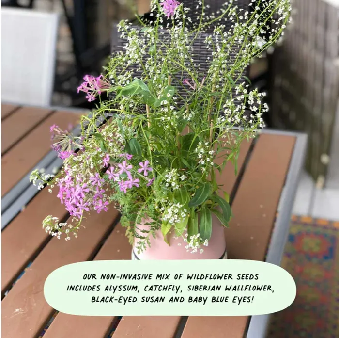 Pflanzbare Grusskarten FIVE FLOWERS Cute Root Cute Root Earrings