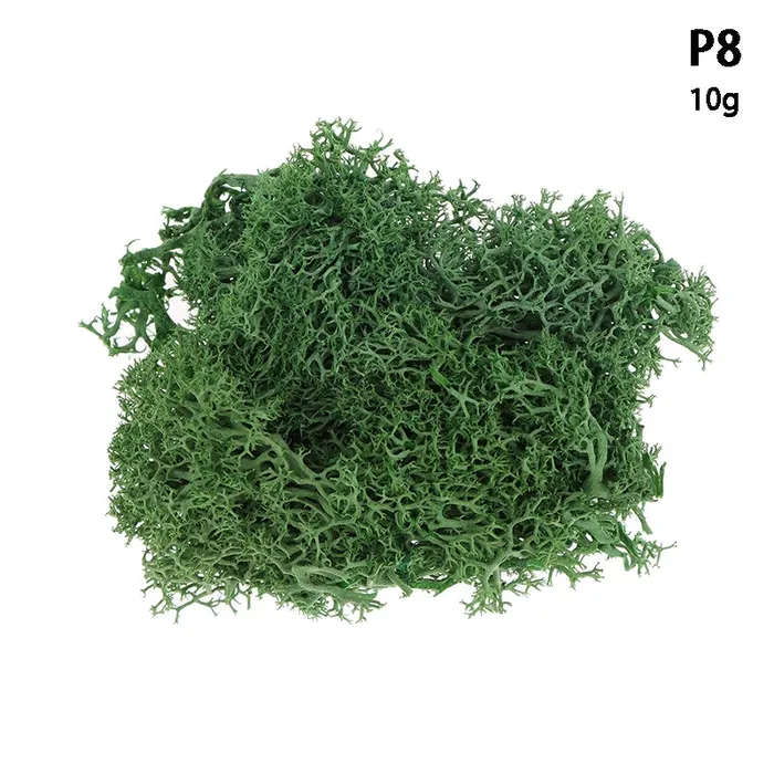 Resinarthub Colored Dried Moss for Resin Art Necklaces