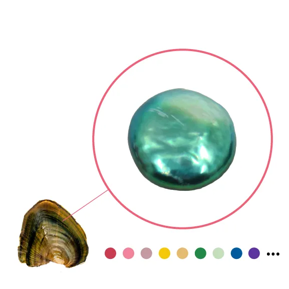 YFSCOIN Earrings Freshwater Oyster Coin Shaped Pearl